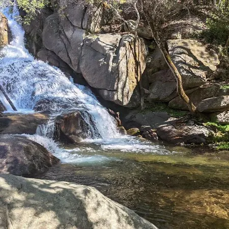 La Dubanesa Poyales del Hoyo